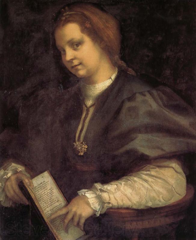 Andrea del Sarto Portrait of girl holding the book Norge oil painting art